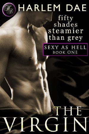 [Sexy as Hell Trilogy 01] • The Virgin
